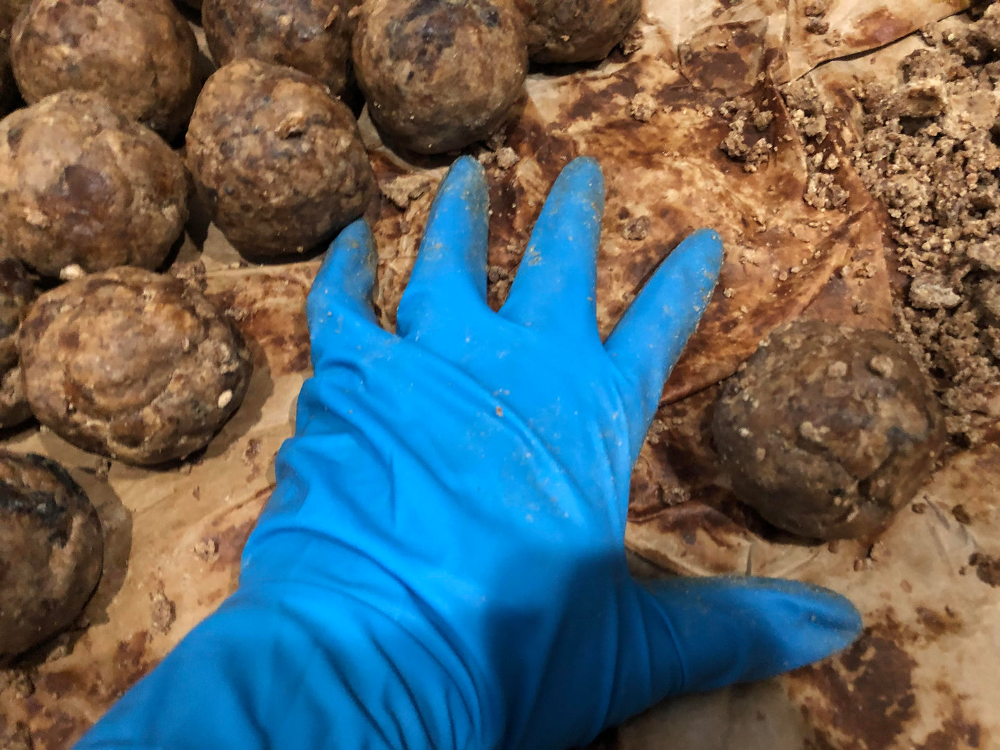 Ghanian African Black Soap